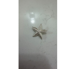 Broszka srebrna rozgwiazda